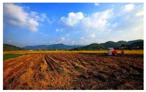 农村占地修路的补偿标准是什么（农村修路占地补贴政策）